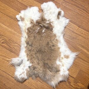 #0668 rabbit pelt